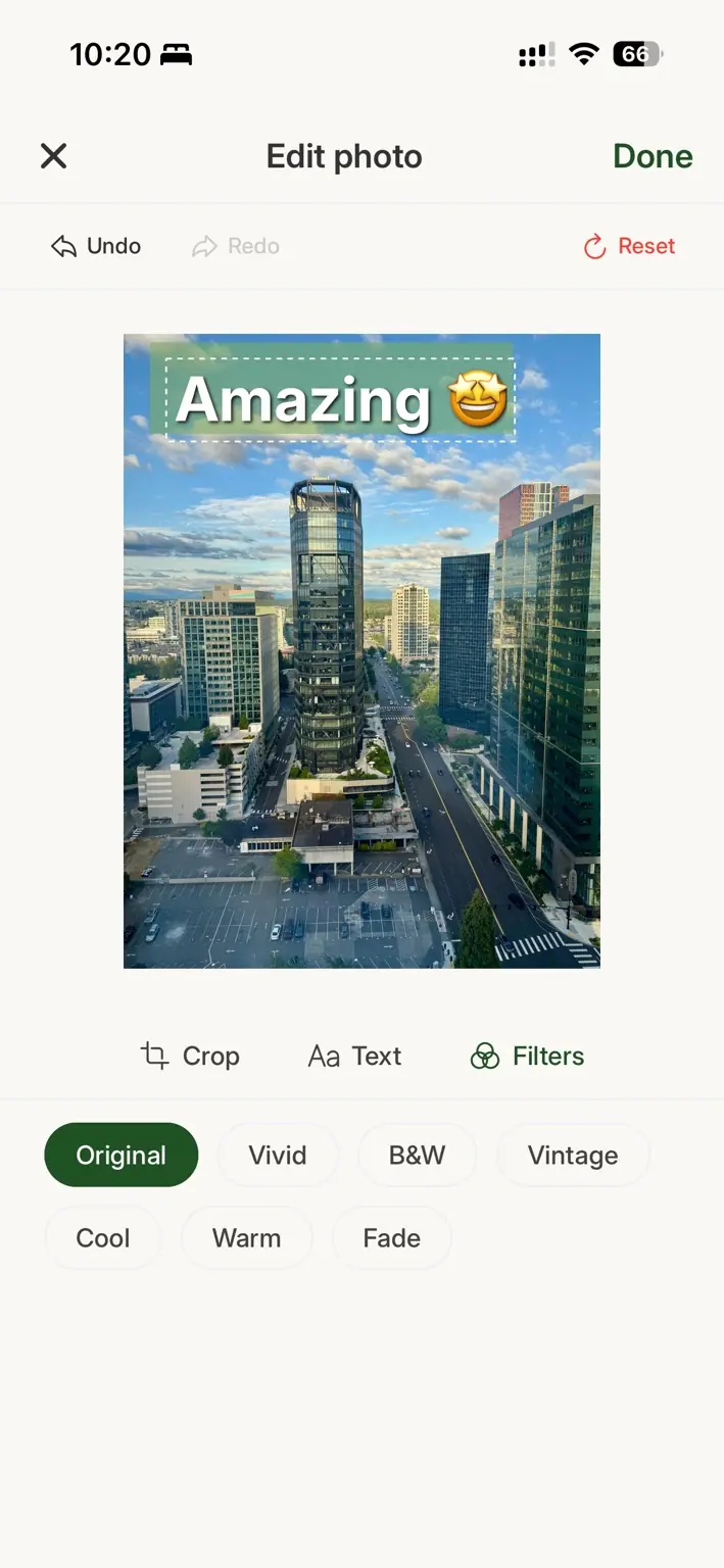 TalkaTree photo filters in English